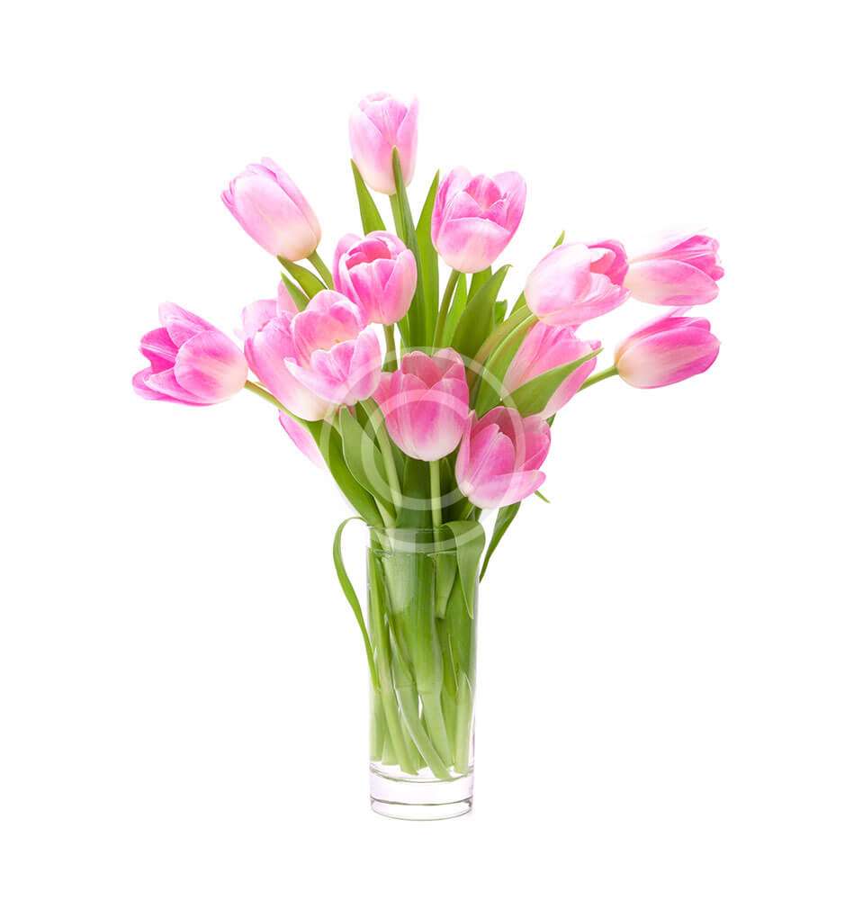 Pink Tulip Bouquet