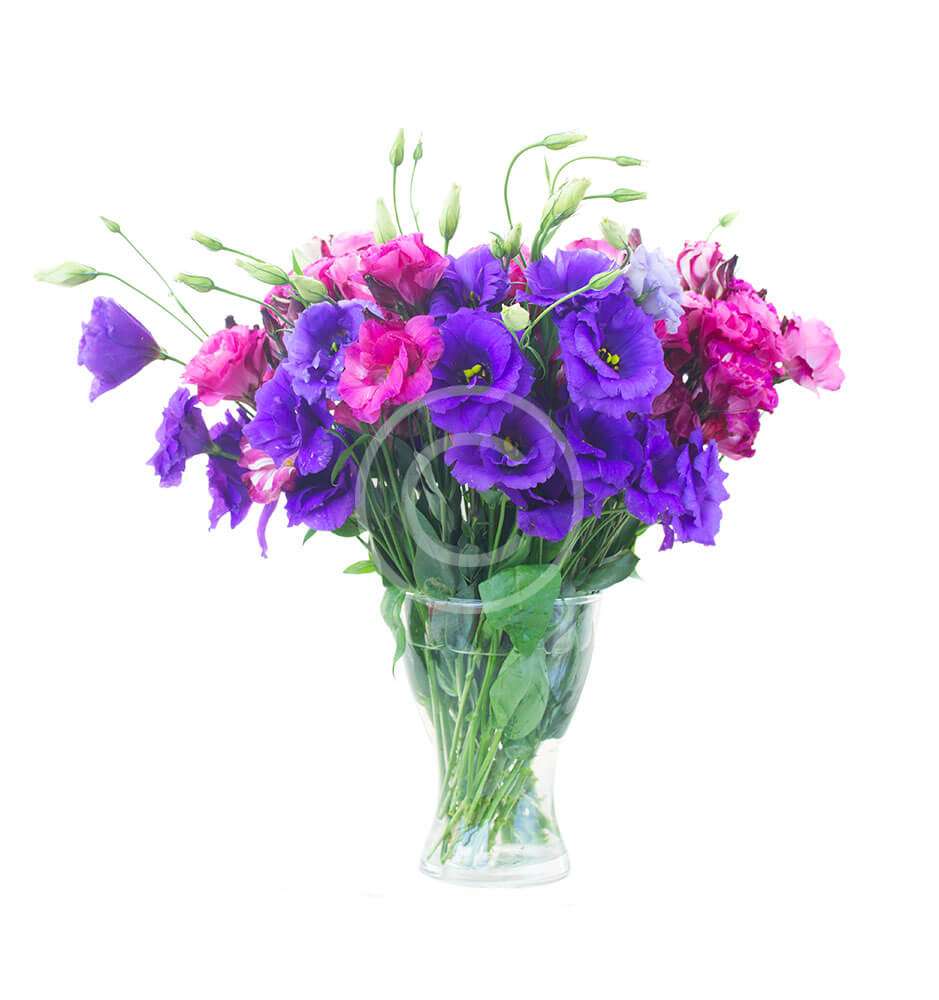 Violet Eustoma Bouquet